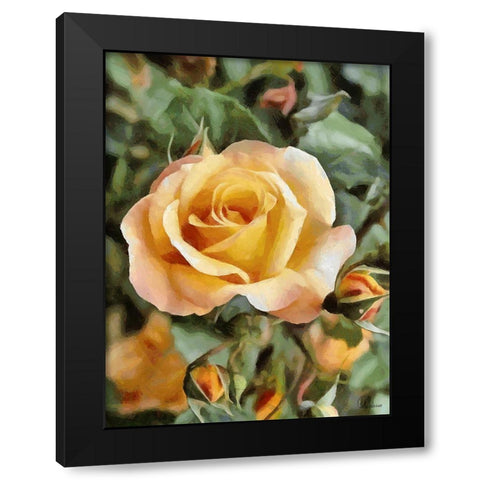 Yellow Roses Black Modern Wood Framed Art Print by Medeiros, Celito