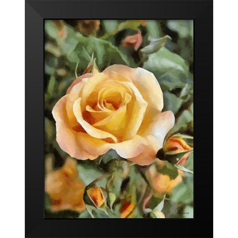 Yellow Roses Black Modern Wood Framed Art Print by Medeiros, Celito