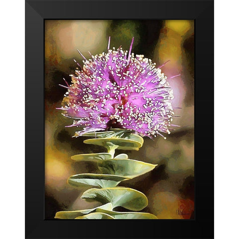Pink Flower II Black Modern Wood Framed Art Print by Medeiros, Celito