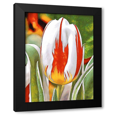Tulip in White and Orange Colors Black Modern Wood Framed Art Print by Medeiros, Celito