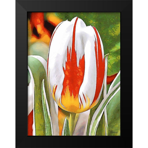 Tulip in White and Orange Colors Black Modern Wood Framed Art Print by Medeiros, Celito