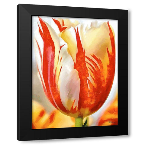 Tulip in White and Orange Colors II Black Modern Wood Framed Art Print by Medeiros, Celito
