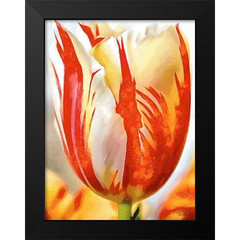 Tulip in White and Orange Colors II Black Modern Wood Framed Art Print by Medeiros, Celito