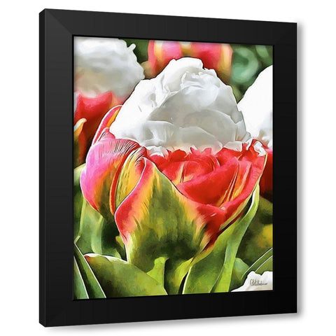 Tulip in White and Red Colors Black Modern Wood Framed Art Print with Double Matting by Medeiros, Celito