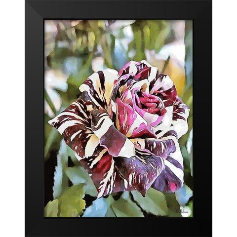 Tulip in White and Purple Colors Black Modern Wood Framed Art Print by Medeiros, Celito