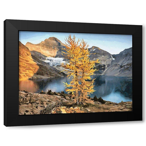 Jasper National Park V Black Modern Wood Framed Art Print by Medeiros, Celito