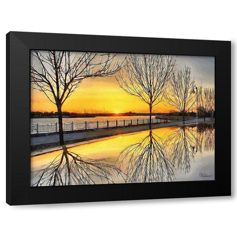 Mirrored Trees by Sunset I Black Modern Wood Framed Art Print with Double Matting by Medeiros, Celito