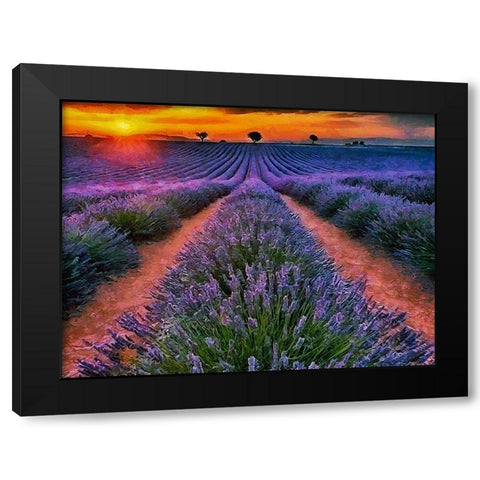 Lavender Field IV Black Modern Wood Framed Art Print with Double Matting by Medeiros, Celito