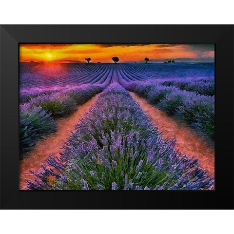 Lavender Field IV Black Modern Wood Framed Art Print by Medeiros, Celito