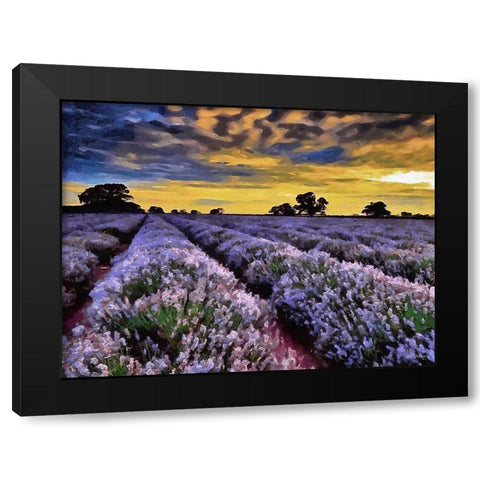 Lavender Field V Black Modern Wood Framed Art Print with Double Matting by Medeiros, Celito
