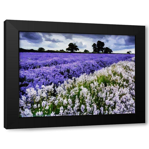 Lavender Field VI Black Modern Wood Framed Art Print with Double Matting by Medeiros, Celito