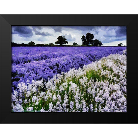 Lavender Field VI Black Modern Wood Framed Art Print by Medeiros, Celito