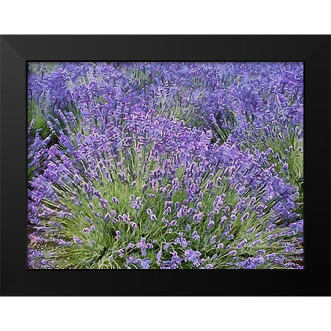 Lavender Field VIII Black Modern Wood Framed Art Print by Medeiros, Celito