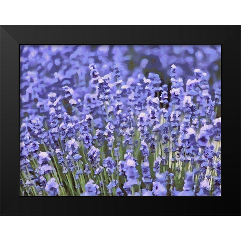 Lavender Field IX Black Modern Wood Framed Art Print by Medeiros, Celito