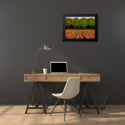 Flower Field II Black Modern Wood Framed Art Print by Medeiros, Celito