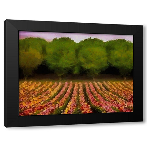 Flower Field II Black Modern Wood Framed Art Print by Medeiros, Celito