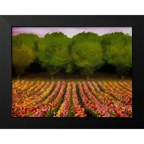 Flower Field II Black Modern Wood Framed Art Print by Medeiros, Celito