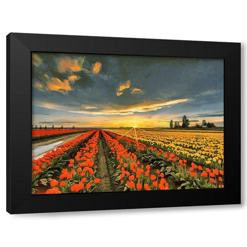 Tulip Field I Black Modern Wood Framed Art Print with Double Matting by Medeiros, Celito