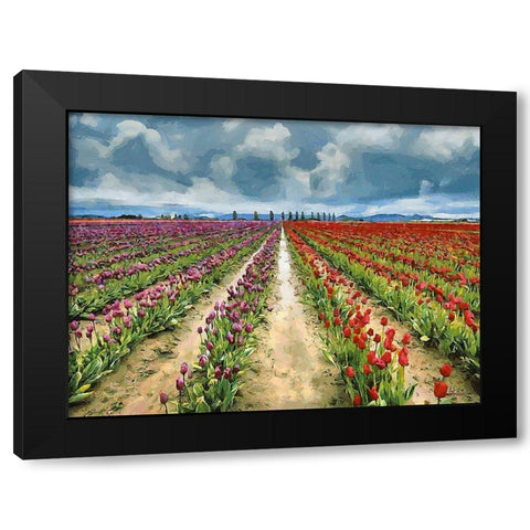 Tulip Field II Black Modern Wood Framed Art Print with Double Matting by Medeiros, Celito
