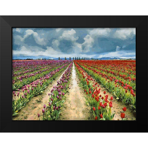 Tulip Field II Black Modern Wood Framed Art Print by Medeiros, Celito