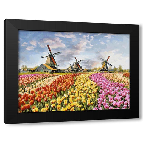 Tulip Field IV Black Modern Wood Framed Art Print by Medeiros, Celito