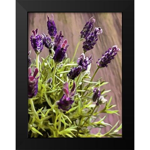 Purple Flower I Black Modern Wood Framed Art Print by Medeiros, Celito