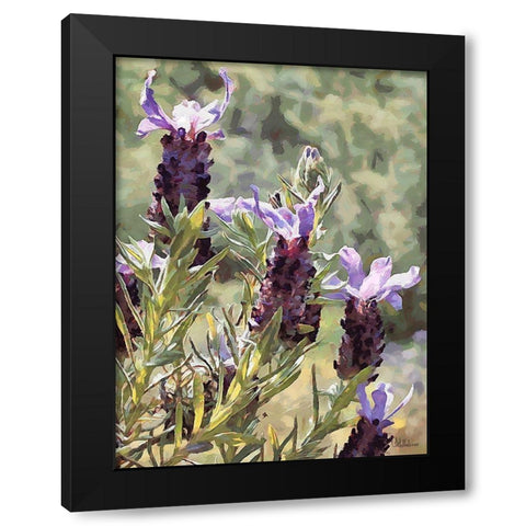 Purple Flower II Black Modern Wood Framed Art Print with Double Matting by Medeiros, Celito
