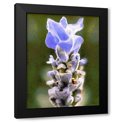 Purple Flower III Black Modern Wood Framed Art Print by Medeiros, Celito