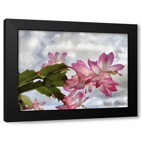 Cactus Flower II Black Modern Wood Framed Art Print with Double Matting by Medeiros, Celito