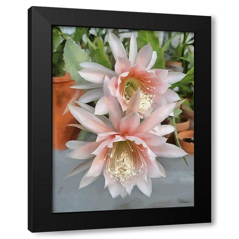 Cactus Flower III Black Modern Wood Framed Art Print with Double Matting by Medeiros, Celito