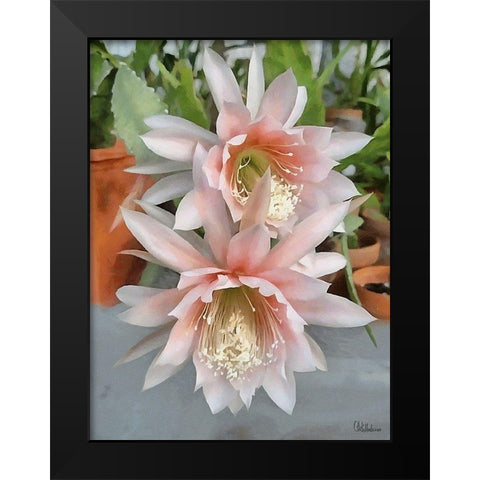 Cactus Flower III Black Modern Wood Framed Art Print by Medeiros, Celito