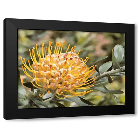 OrchidsXIV Black Modern Wood Framed Art Print with Double Matting by Medeiros, Celito