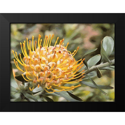 OrchidsXIV Black Modern Wood Framed Art Print by Medeiros, Celito