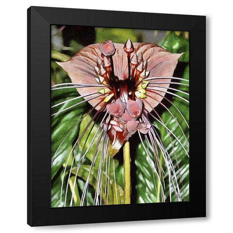 Orchids XVI Black Modern Wood Framed Art Print with Double Matting by Medeiros, Celito