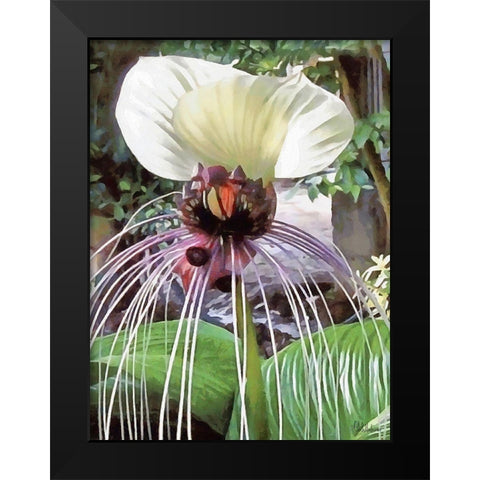 Orchids XVII Black Modern Wood Framed Art Print by Medeiros, Celito