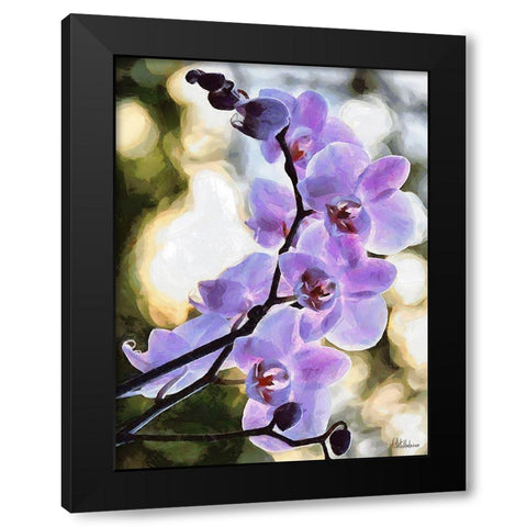 Orchids XIX Black Modern Wood Framed Art Print with Double Matting by Medeiros, Celito