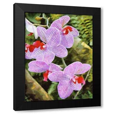 Orchids XX Black Modern Wood Framed Art Print with Double Matting by Medeiros, Celito