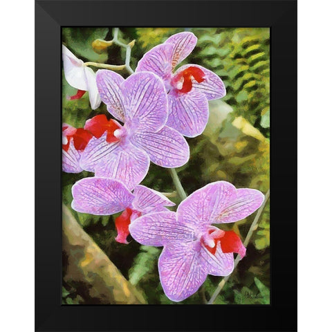 Orchids XX Black Modern Wood Framed Art Print by Medeiros, Celito
