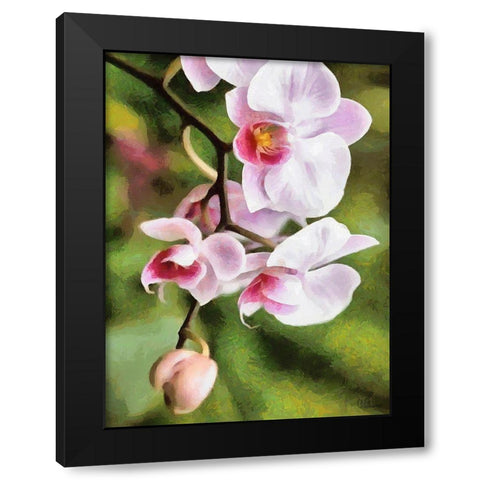 Orchids XXI Black Modern Wood Framed Art Print by Medeiros, Celito