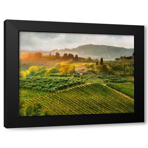 Tuscany Vineyeard Black Modern Wood Framed Art Print by Medeiros, Celito