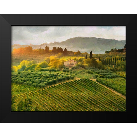 Tuscany Vineyeard Black Modern Wood Framed Art Print by Medeiros, Celito