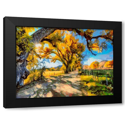 Road Under Big Trees Black Modern Wood Framed Art Print with Double Matting by Medeiros, Celito