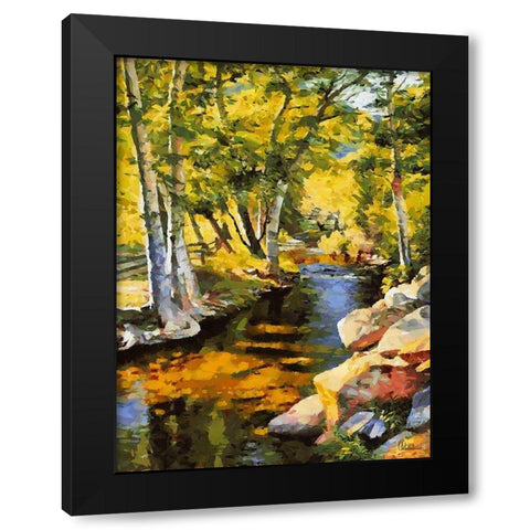Creek with Rocks Black Modern Wood Framed Art Print with Double Matting by Medeiros, Celito