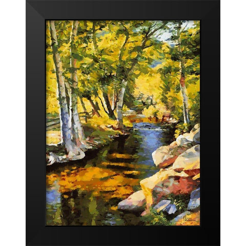 Creek with Rocks Black Modern Wood Framed Art Print by Medeiros, Celito