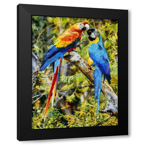 Two Fighting Parrots Black Modern Wood Framed Art Print by Medeiros, Celito