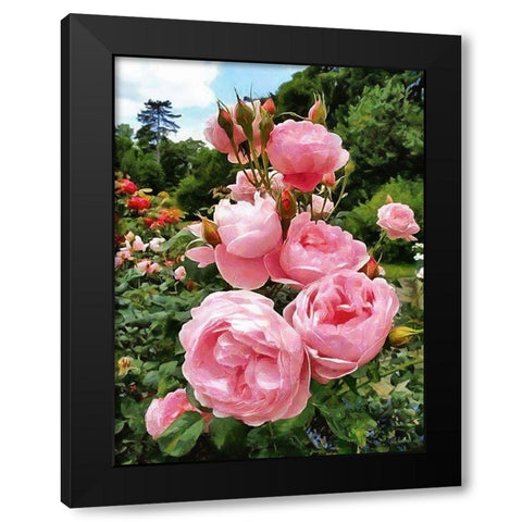 Pink Roses Black Modern Wood Framed Art Print by Medeiros, Celito