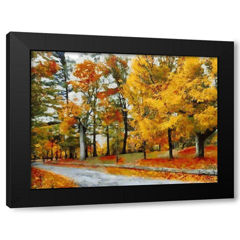 Autumn Colours Black Modern Wood Framed Art Print by Medeiros, Celito