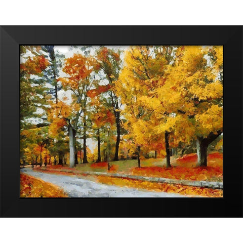 Autumn Colours Black Modern Wood Framed Art Print by Medeiros, Celito
