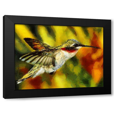 Hummingbird Black Modern Wood Framed Art Print by Medeiros, Celito