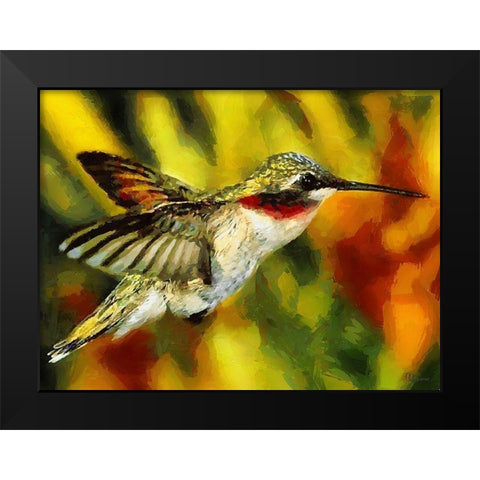 Hummingbird Black Modern Wood Framed Art Print by Medeiros, Celito